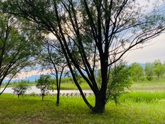 -野鸭湖国家湿地公园