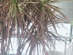 -隹木咖啡馆(宝龙广场店)