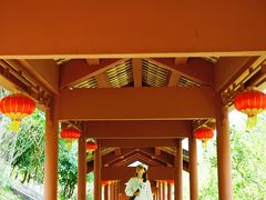 -广州神农草堂中医药博物馆