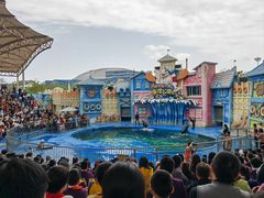 -华夏文旅海洋公园