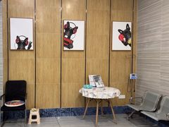-瑞派名望志远动物医院·猫科·內科·异宠专科(直港大道店)