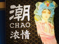 -潮双喜正宗澄海狮头鹅华利路店
