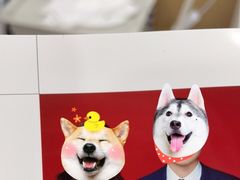 -天真蓝照相馆(龙岗万科里店)