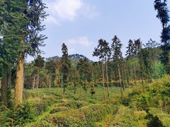 -黄陂区野村谷景区