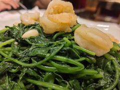 孜然炒菠菜-聪英餐厅