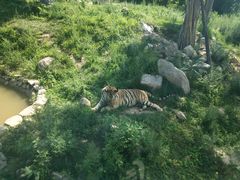 -西安秦岭野生动物园