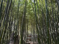 -泰山风景名胜区-普照寺