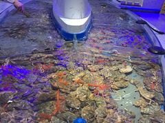 -澜悦港海鲜体验主题餐厅