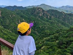 -大岭沟猕猴桃谷风景区