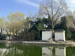 -团结湖公园