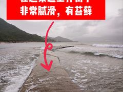 -杨梅坑