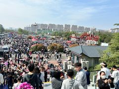 -曹州牡丹园