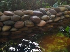 -融汇温泉