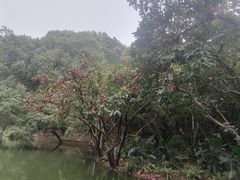 -人民公园(罗湖区)