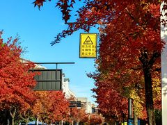 -中国计量大学(西校区)