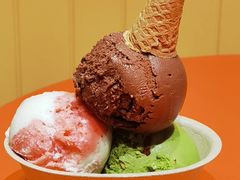 -极拉图·现制冰淇淋(大卫城店)