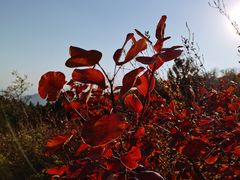 -北京西山国家森林公园