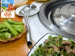-桃源村铁锅炖鱼(体育馆道店)