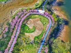 -福建鲤鱼洲酒店