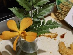 -维也纳国际酒店·上海虹桥火车站国家会展中心店