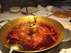 -小龙翻大江文化火锅(宽窄店)
