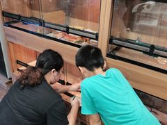 -酷以爬仙阁实体爬宠店·守宫·蜥蜴·专业繁育