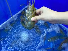 -蟹天蟹地农家菜·阳澄湖大闸蟹(浅水湾店)