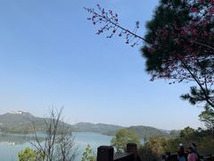 -深圳柯记餐厅(大望店)