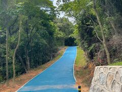 -黄埔油麻山森林公园