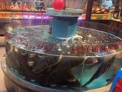 -魏铭鱼头捞饭(晋阳路店)