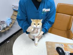 -联合动物医院(光谷诊疗中心)