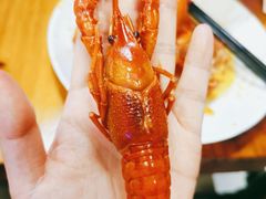 -二钳洞庭虾蟹·江湖菜(成都鹭岛店)