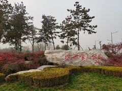 -洨河生态公园