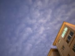 -刘小忙把子肉(北园大街总店)