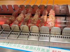 -冰城串说·羊肉串烧烤(哈西大街店)