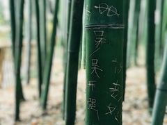 -汇龙潭