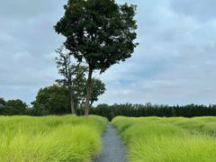 -汉长安城未央宫国家考古遗址公园