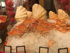 -视界美食自助餐厅·石家庄希尔顿酒店