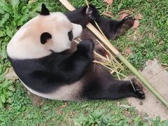 -黔灵山公园