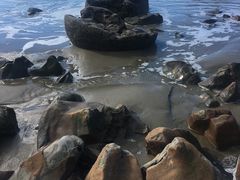 -摩拉基大圆石