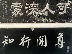 -苏州文庙(姑苏区)
