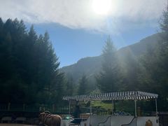 -苏木山森林公园