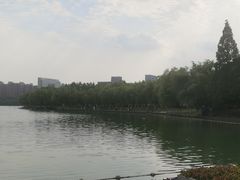 -天鹅湖体育公园