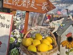 -京北渔家傲