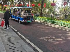 -金鸡山公园