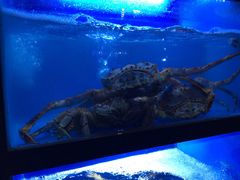 景观位-月下料理(楷林IFC店)