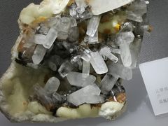 -湖南省地质博物馆