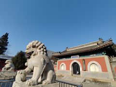 -大钟寺古钟博物馆