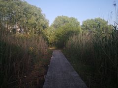-长广溪湿地公园