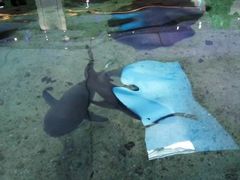 -鸿通城购物中心